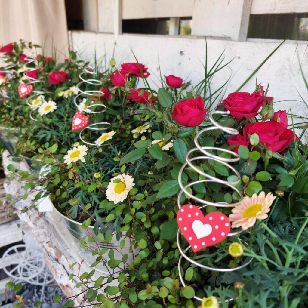 Lass Blumen sprechen: Die Geschichte des Muttertags