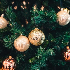 Welcher Weihnachtsbaum ist der richtige?