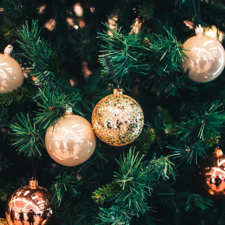 Weihnachtsbaum-Arten! Welche ist richtig für mich?