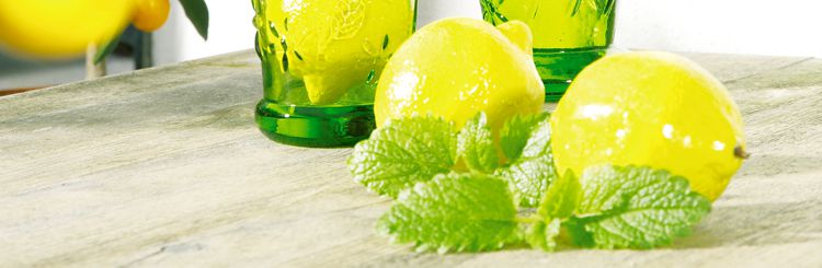 Zitronenlimonade mit Minze - der leckere Sommerklassiker