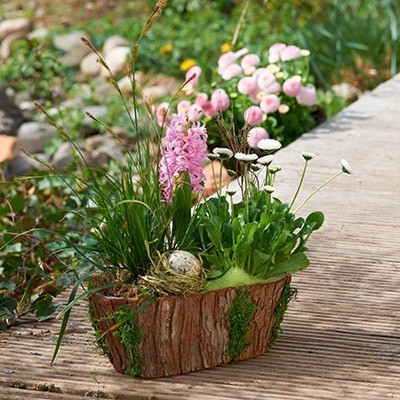 Kombiniert mit Gänseblümchen