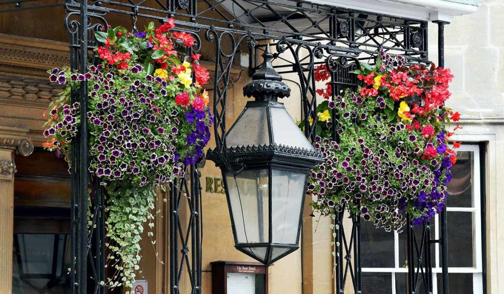 Hanging Baskets – Blumenampeln modern interpretiert